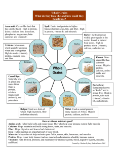 Whole Grains What do they look like and how could they