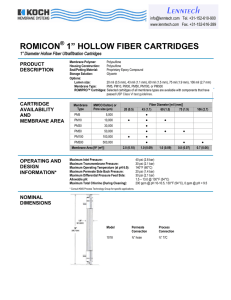 ROMICON 1” HOLLOW FIBER CARTRIDGES ®