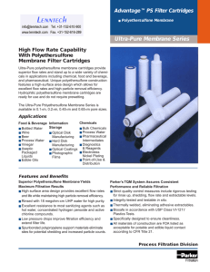 Ultra-Pure Membrane Series Advantage™ PS Filter Cartridges High Flow Rate Capability With Polyethersulfone