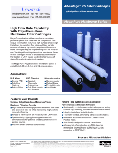 Mega-Pure Membrane Series Advantage™ PS Filter Cartridges High Flow Rate Capability With Polyethersulfone