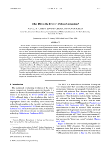 What Drives the Brewer–Dobson Circulation? N Y. C ,* E