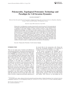 Polymyositis, Topological Proteomics Technology and Paradigm for Cell Invasion Dynamics WALTER SCHUBERT *