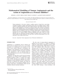 Mathematical Modelling of Tumour Angiogenesis and the HOWARD A. LEVINE