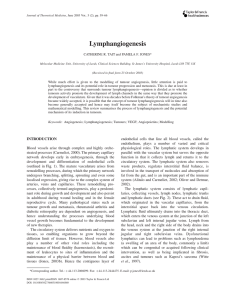 Lymphangiogenesis CATHERINE R. TAIT and PAMELA F. JONES*