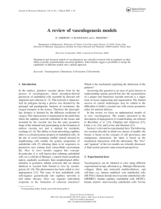 A review of vasculogenesis models