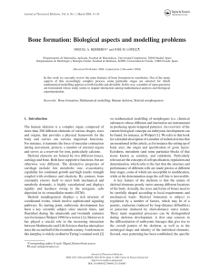 Bone formation: Biological aspects and modelling problems ´ M. LO´PEZ‡{