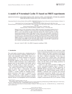 A model of N-terminal Cyclin T1 based on FRET experiments