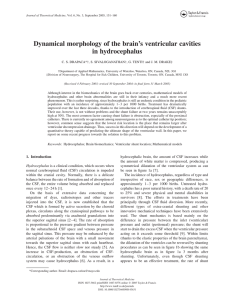 Dynamical morphology of the brain’s ventricular cavities in hydrocephalus