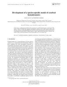 Development of a species-specific model of cerebral hemodynamics