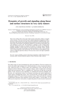 Dynamics of growth and signaling along linear