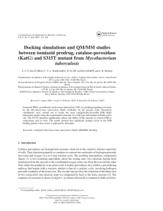 Docking simulations and QM/MM studies between isoniazid prodrug, catalase-peroxidase