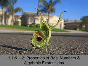 1.1 &amp; 1.2: Properties of Real Numbers &amp; Algebraic Expressions