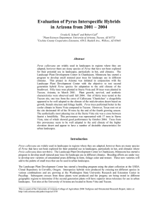 Evaluation of Pyrus Interspecific Hybrids in Arizona from 2001 – 2004