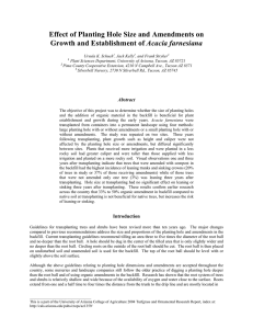 Effect of Planting Hole Size and Amendments on Acacia farnesiana