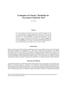 Evaluation of Velocity* Herbicide for Poa annua Abstract