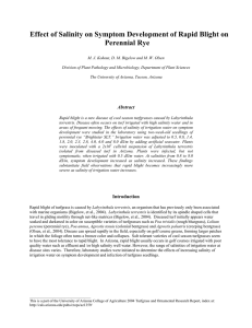 Effect of Salinity on Symptom Development of Rapid Blight on