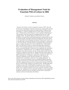 Evaluation of Management Tools for Fusarium Wilt of Lettuce in 2004  Abstract