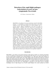 Detection of the rapid blight pathogen Poa trivialis Labyrinthula terrestris