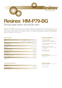 Resinex HM-P79-BG Strong base anion exchange resin ™