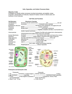 Cells, Organelles, and Cellular Processes Notes  Objective 2 Cells