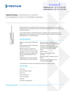 Lenntech INDUSTRIAL BETA 5000/ABSOLUTE-RATED PES MEMBRANE CARTRIDGES Tel. +31-152-610-900