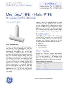 Memtrex* HFE Halar PTFE Lenntech All Fluoropolymer Pleated Cartridge