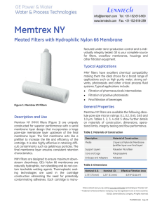 Memtrex NY Lenntech Pleated Filters with Hydrophilic Nylon 66 Membrane