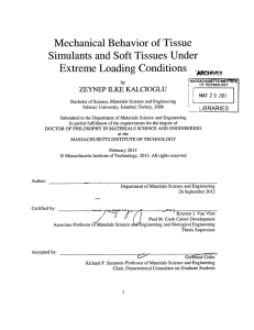 Mechanical  Behavior  of Tissue Extreme  Loading  Conditions ~M~HM~S