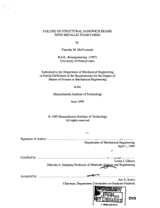 FAILURE by B.S.E., WITH METALLIC  FOAM  CORES