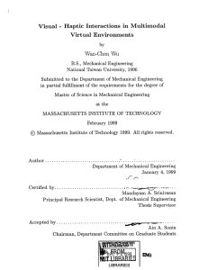 Visual Haptic  Interactions in  Multimodal Virtual Environments -