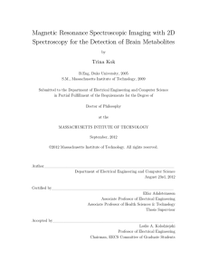 Magnetic Resonance Spectroscopic Imaging with 2D Trina Kok