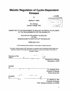 Meiotic  Regulation  of Cyclin-Dependent Kinases R  S by