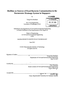 Biofilms  as  Sources  of Fecal  Bacteria ... Stormwater Drainage  System  in Singapore