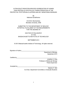 ULTRAVIOLET RADIATION-INDUCED AGGREGATION OF HUMAN LENS PROTEIN γD-CRYSTALLIN: CHARACTERIZATION OF THE