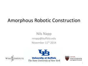 Amorphous Robotic Construction Nils Napp  November 11