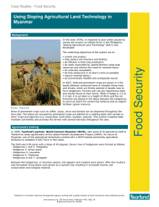 Using Sloping Agricultural Land Technology in Myanmar Case Studies - Food Security Background