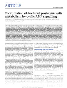 ARTICLE Coordination of bacterial proteome with metabolism by cyclic AMP signalling