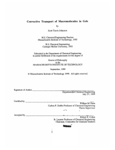 Convective  Transport  of  Macromolecules  in ...