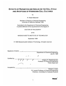 EFFECTS  OF  RAPAMYCIN  AND  INSULIN ... AND  APoPTOSIS  OF  HYBRIDOMA  CELL CULTURES