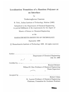 Localization  Transition of  a  Random  Polymer ... an  Interface Venkatraghavan  Ganesan