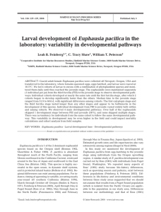 Larval development of laboratory: variability in developmental pathways Euphausia pacifica