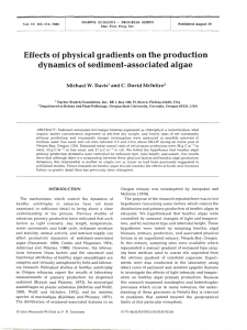Effects of  physical gradients on the production '