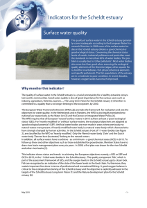 Indicators for the Scheldt estuary Surface water quality