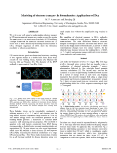 Modeling of electron n transport in biomolecules: Applicatio