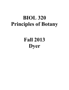 BIOL 320 Principles of Botany Fall 2013