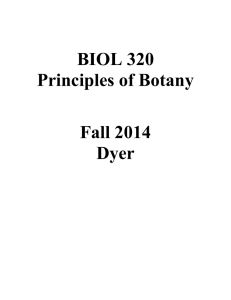 BIOL 320 Principles of Botany Fall 2014
