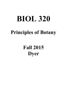 BIOL 320  Principles of Botany Fall 2015