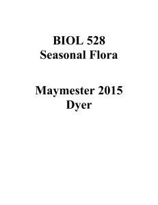 BIOL 528 Seasonal Flora Maymester 2015