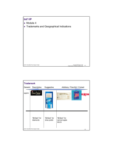 Int’l IP Module 4 Trademarks and Geographical Indications Trademark