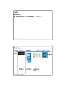 Int’l IP Module 4 Trademarks and Geographical Indications Trademark